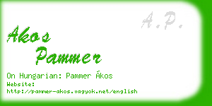 akos pammer business card